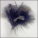  Marabou Black with Guinea Feathers